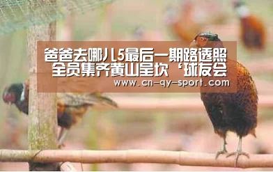 爸爸去哪儿5最后一期路透照 全员集齐黄山呈坎‘球友会平台为您提供全网最全的体育赛事直播与专业的在线投注服务。高赔率、安全快捷,立即注册体验!’(图1) 球友会平台为您提供全网最全的体育赛事直播与专业的在线投注服务。高赔率、安全快捷,立即注册体验!